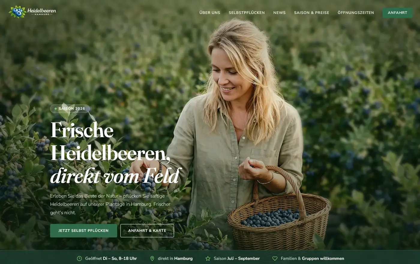 Webdesign Hamburg – Beispiel-Website Heidelbeerplantage